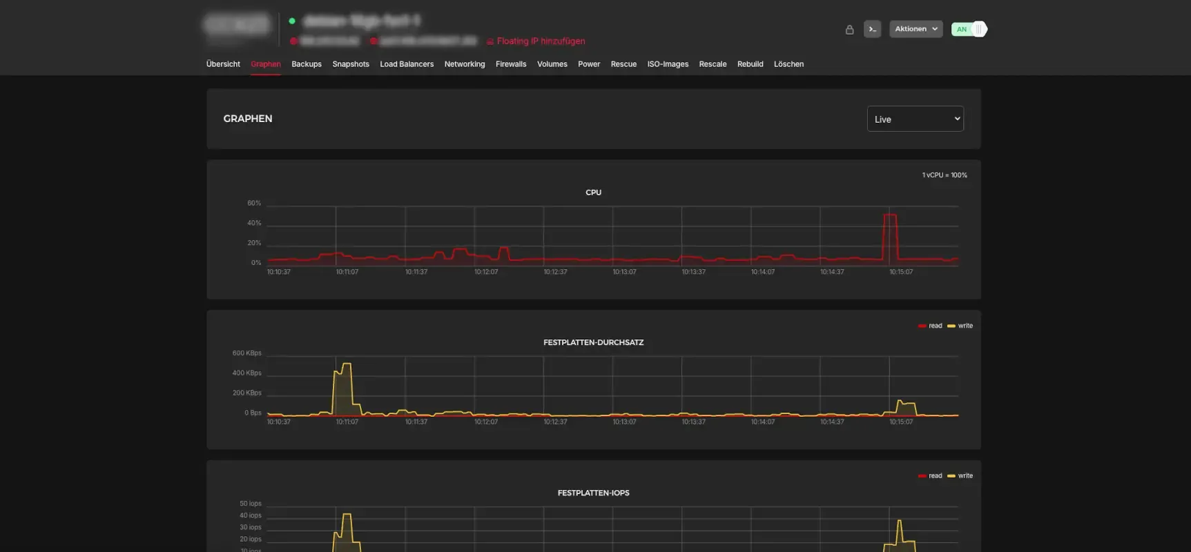 Server Hosting Screenshot Server Hosting Screenshot gezeigt mittels live Hardware Auslastung als Diagramme