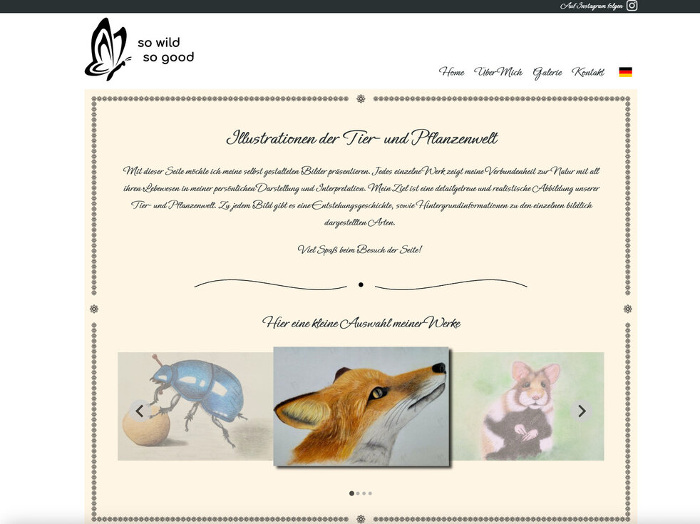 Referenz Screenshot der Webseite sowildsogood.com