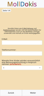 Screenshot einer meiner Referenzen in Form einer Online Umfrage in Tablet-Größe
